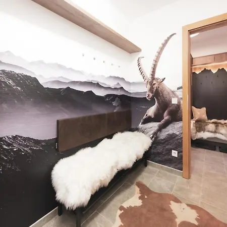 Chalet Elegant Near Wildkogel Arena Neukirchen am Grossvenediger