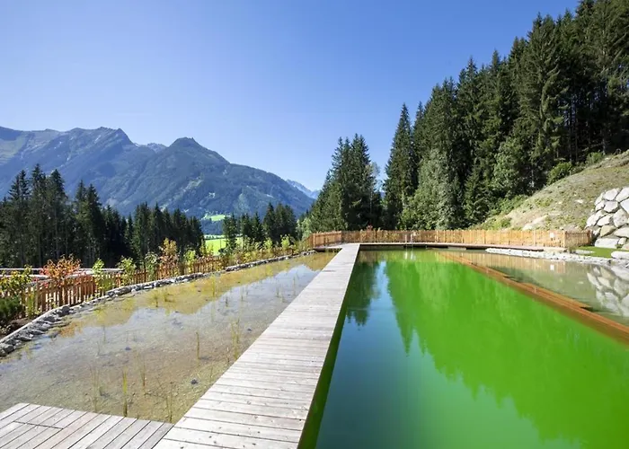 Chalé Elegant Near Wildkogel Arena